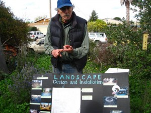 Ken demonstrating the spiral herb garden that he and his daughter did years ago for a school project. The mature plants grow behind him (and on the right hand side you can catch just a glimpse of the famous ceanothus)
