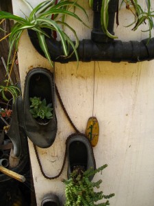 plants fit snugly in Ken's repurposed shoes