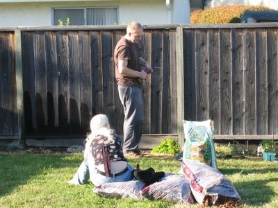 An innocent start to the year, it all began with some herbs a few zucchini and tomatos
