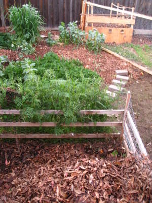 The Lab - main garden